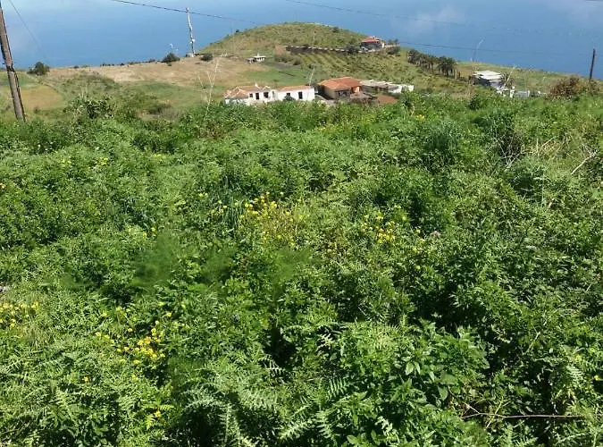 Casa El Molino Puntallana